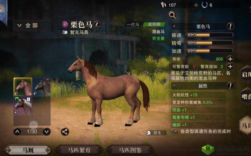 猎魂觉醒马匹驯服全攻略，快速捉马技巧揭秘