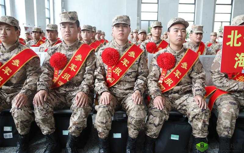 光荣使命演习新兵成长史，大吉大利晚上获胜在资源管理中的重要性及策略