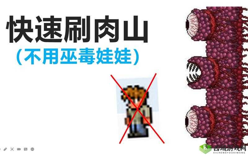 不思议迷宫巫毒娃娃选择，选娃娃、道具还是标本在资源管理中的重要性及策略