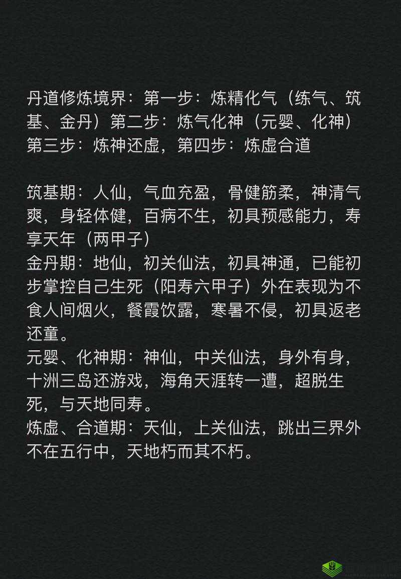 指尖修仙，昆仑结丹期的修行之旅