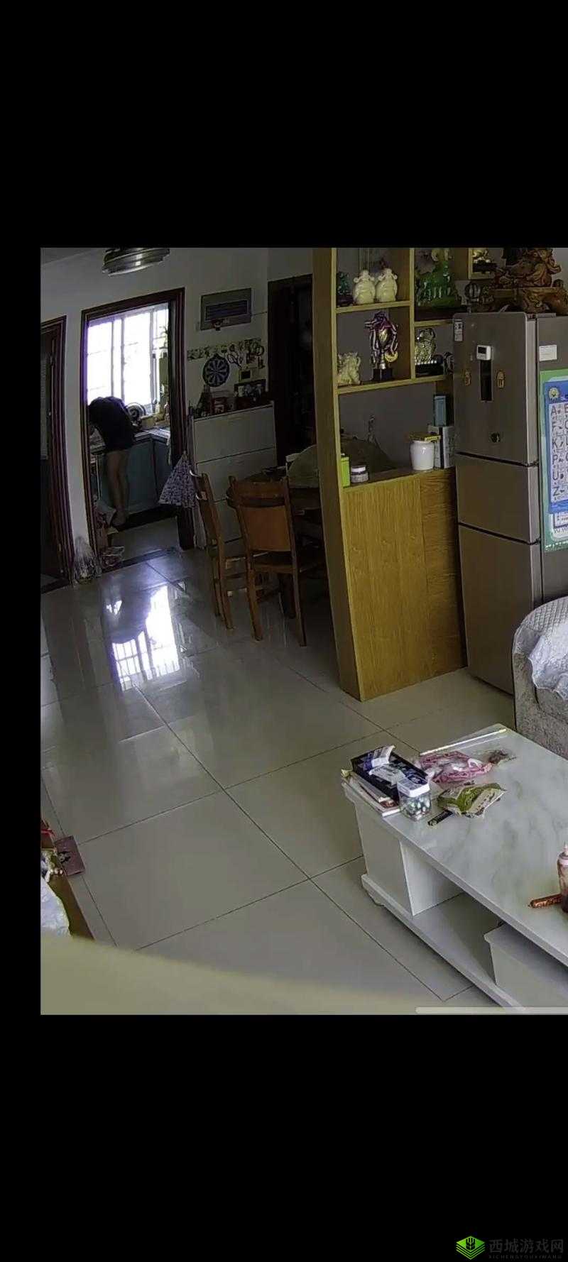 未定事件簿厨房监控需要出示吗？不出示监控的结局