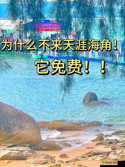 为什么海角 5.0.2 如此受欢迎？它有哪些独特之处？