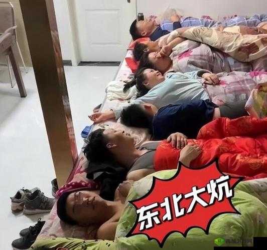 大炕上的性满足:杨彬苏晴的私密故事