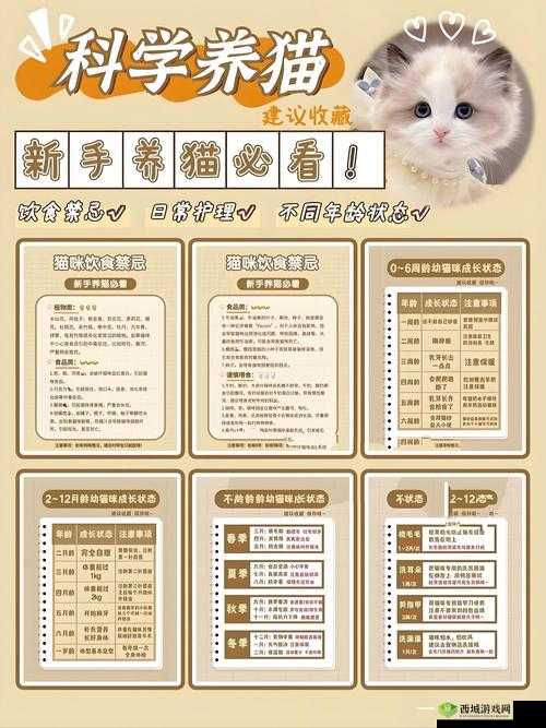 喵星人简史离线收益全攻略，底层逻辑与操作映射深度解析